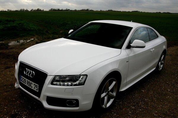 Weiß audi a5 quattro Coupé