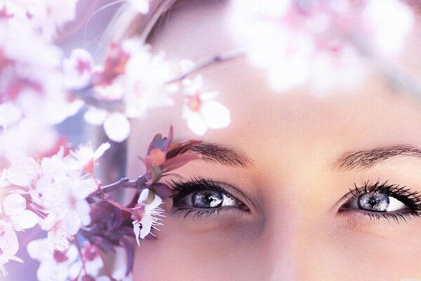 Sakura and the girl in flowers