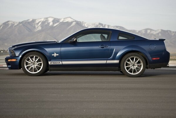 La Mustang gt 500 est sauvage comme la nature