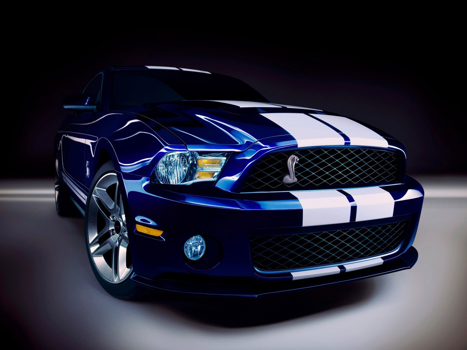 мустанг shalby gt500