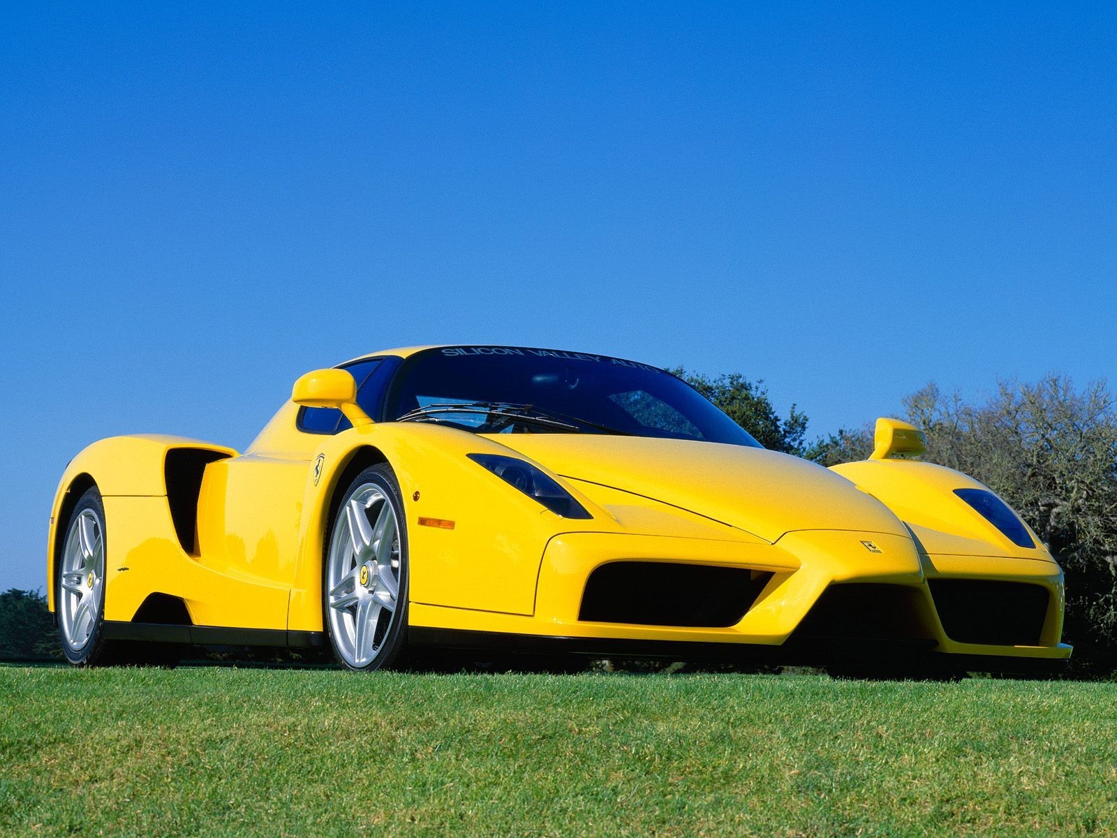 ferrari enzo eichelhäher auto