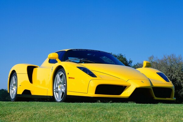 Voiture jaune sur la pelouse verte