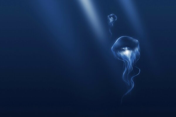 Jellyfish in the dark blue sea