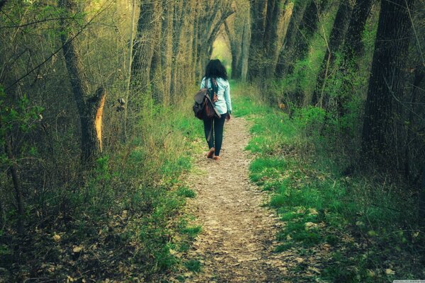 Chemin à travers la forêt en Arménie