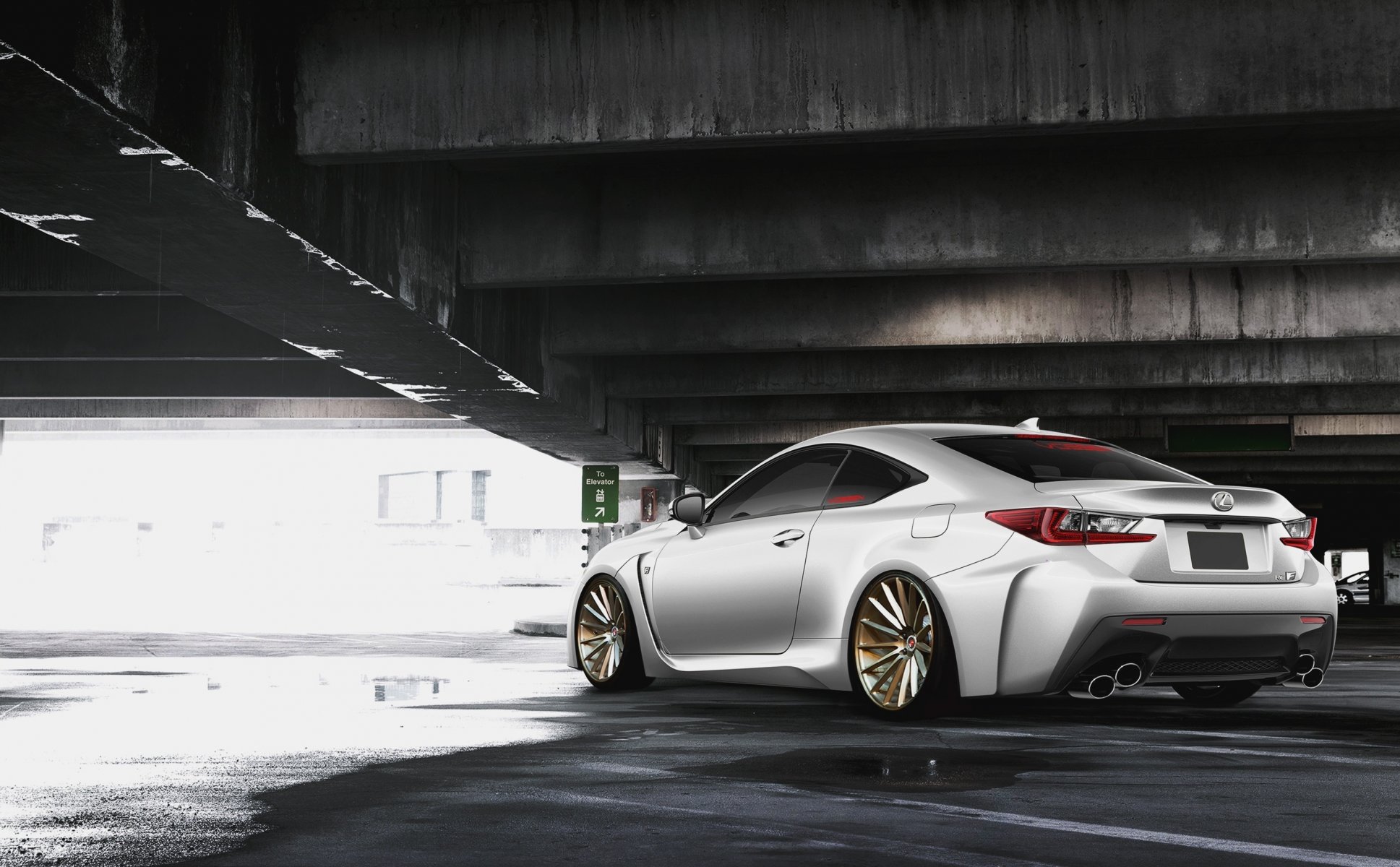 lexus rc f белый сзади