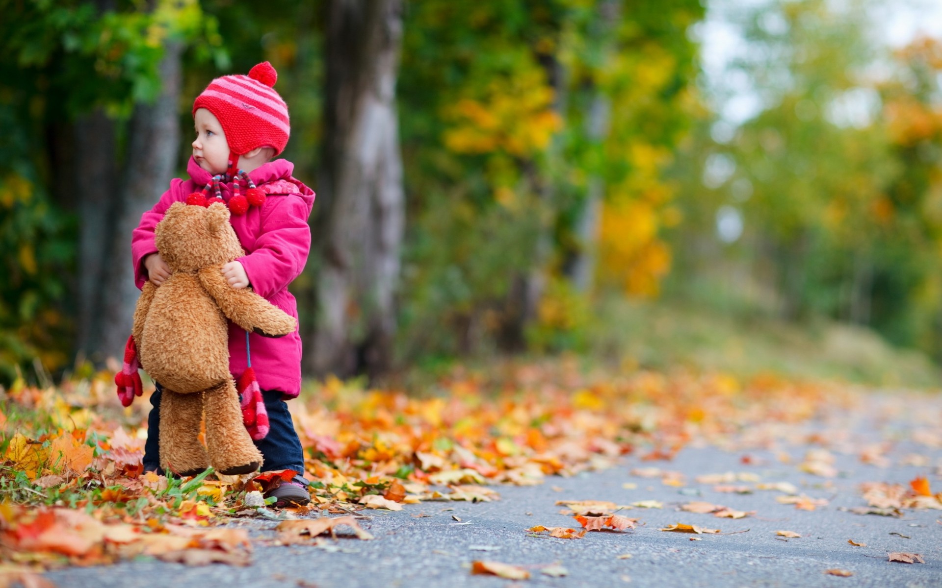 childhood girl tree teddy bear road child children