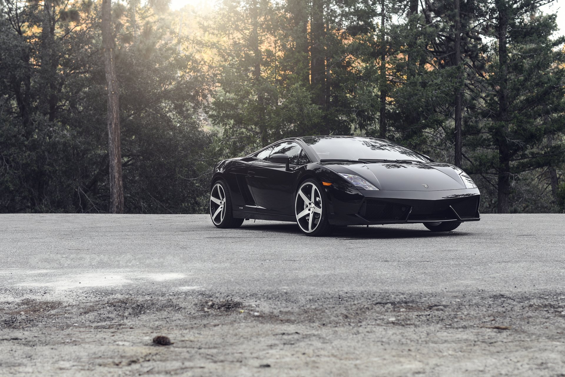 lamborghini gallardo lp560-4 noir lamborghini gajardo réflexion arbres