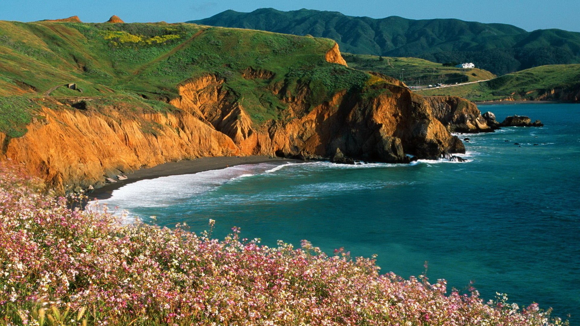 fleurs sarrasin falaise falaises mer route montagnes herbe arbres nature paysage ciel surf vagues côte relief paysage eau altitude verdure plantes