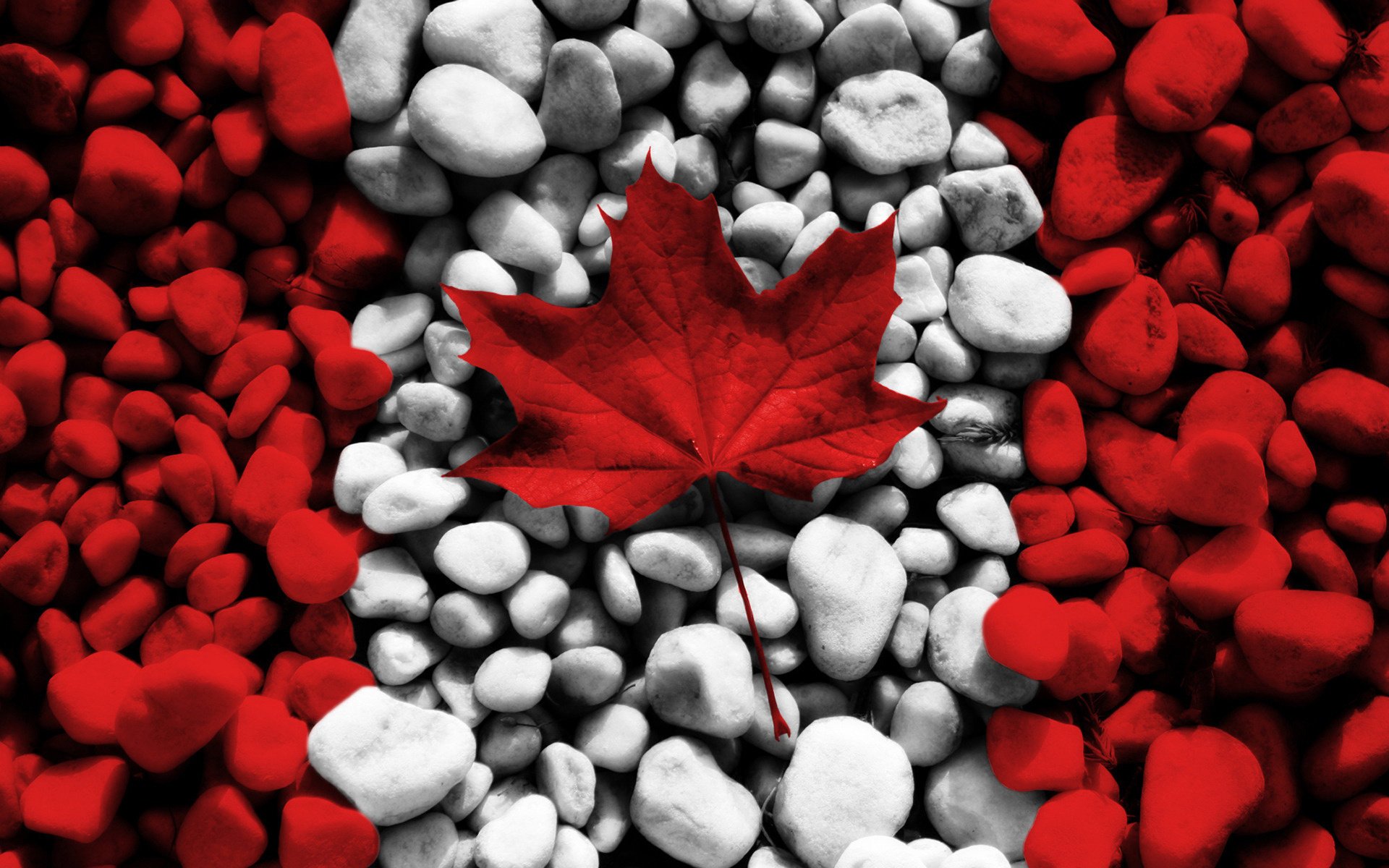 texture canada canada texture maple leaf flag