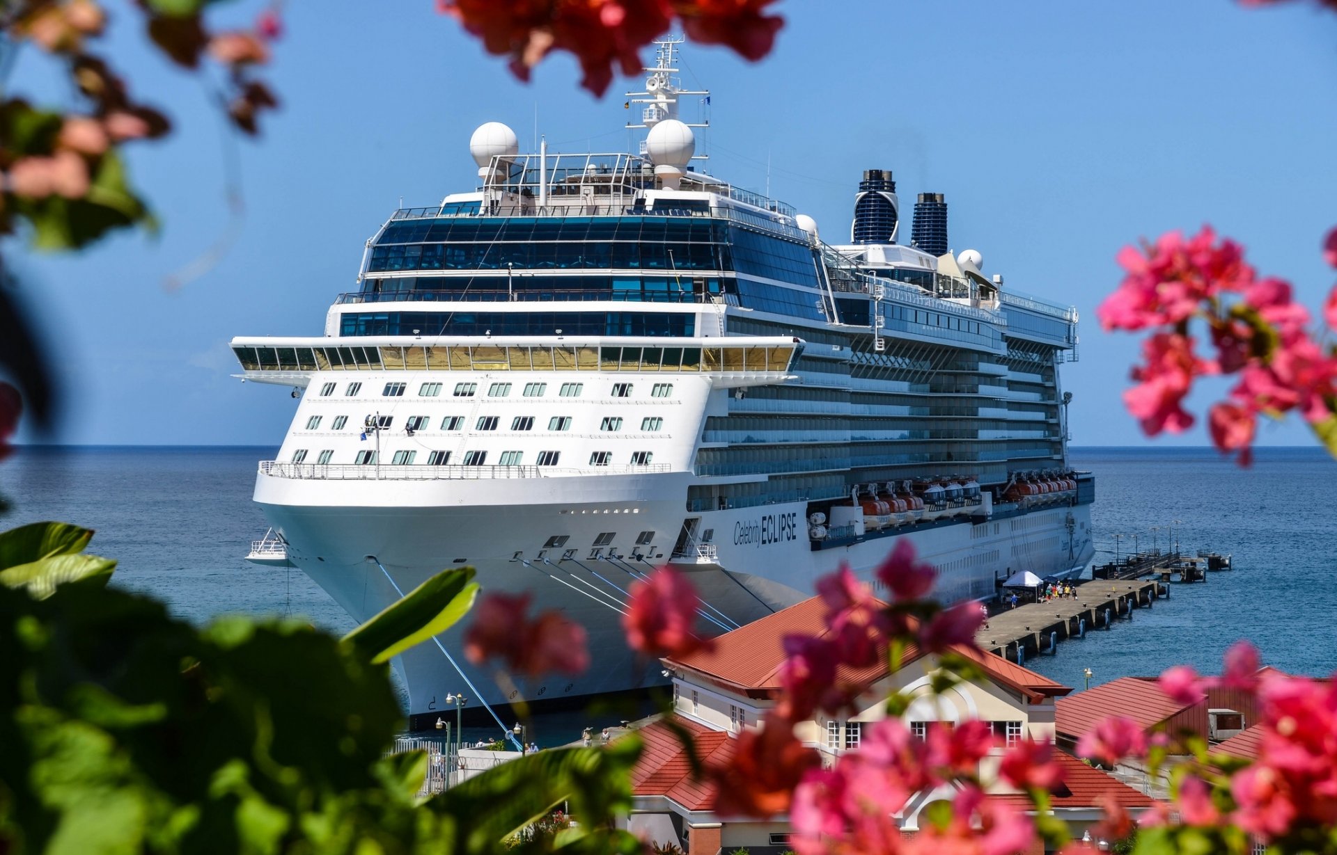 liner liegeplatz meer blumen kreuzfahrt