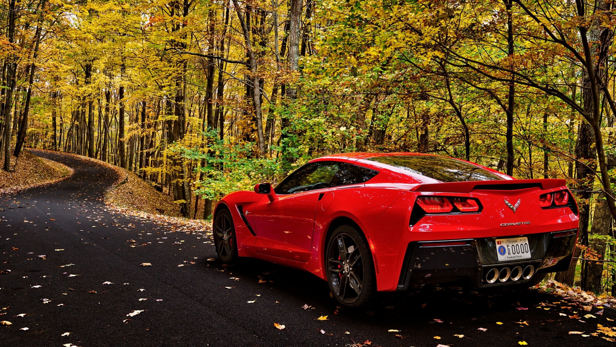 chevrolet corvette foresta autunno foglie alberi strada auto natura