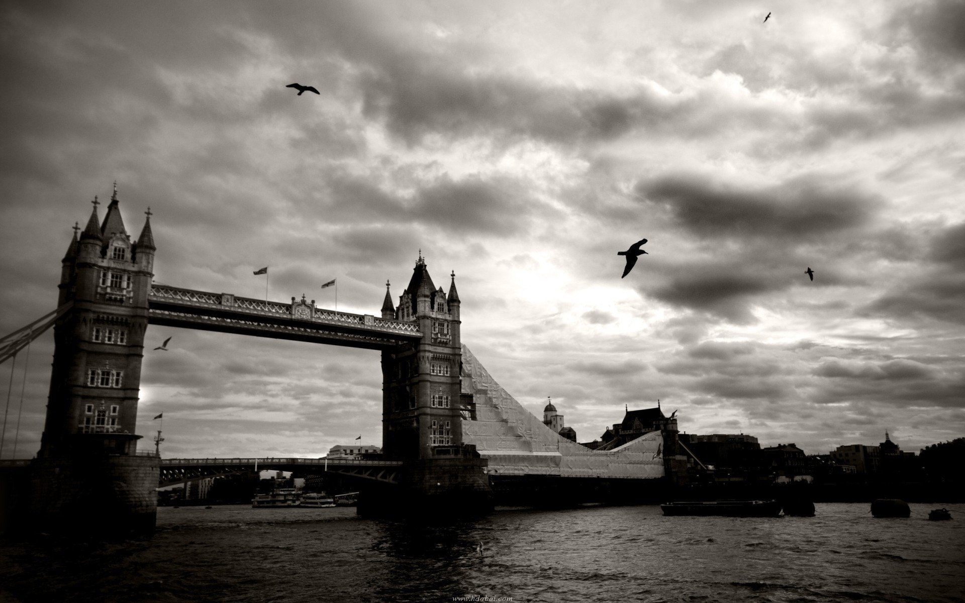 london cherono-white tauerskiy bridge the city the sky river bird