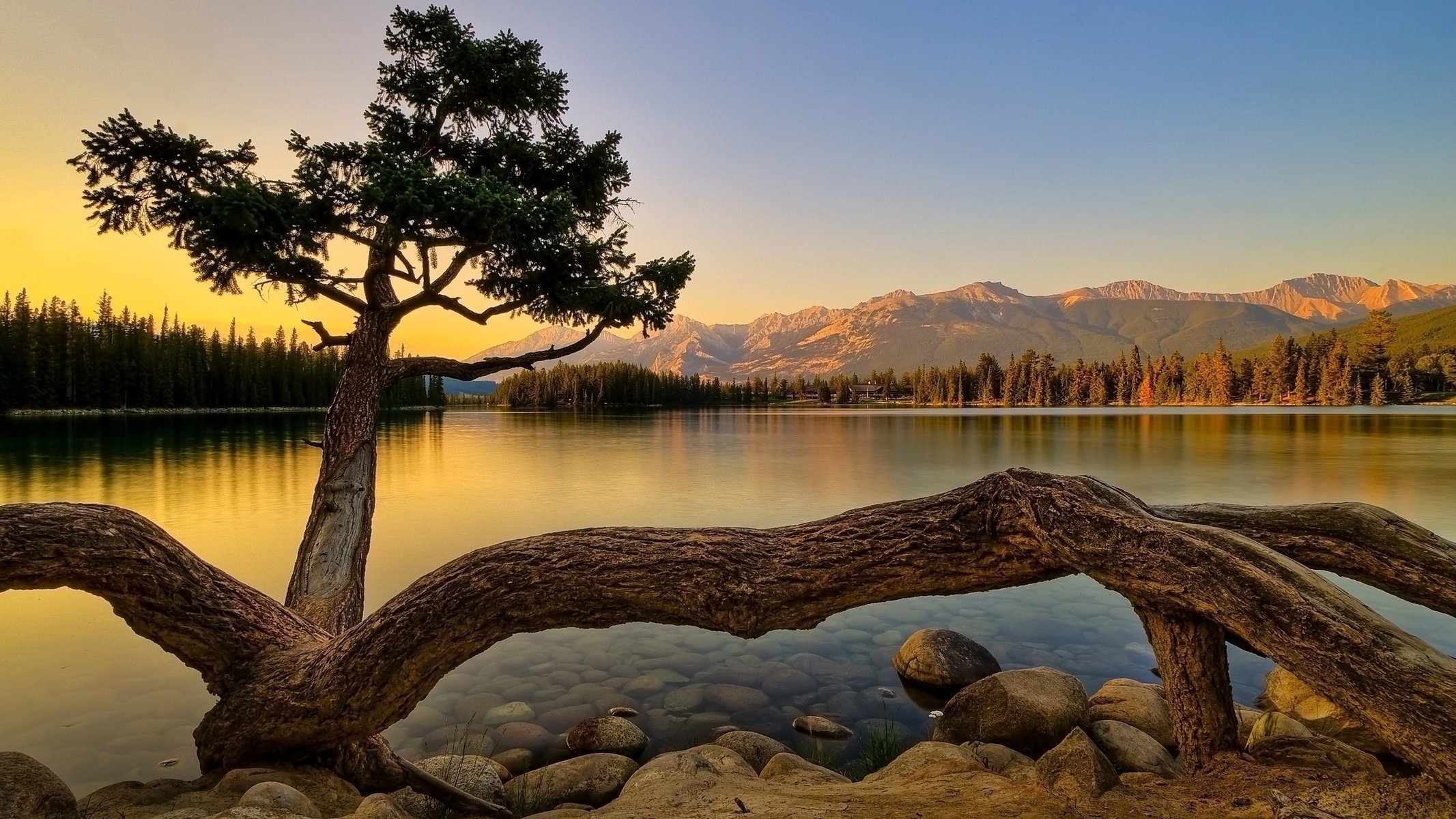 baum sonnenuntergang landschaft natur abend glatte oberfläche wasser steine boden berge wald bäume treibholz stamm himmel stille ruhe see ufer