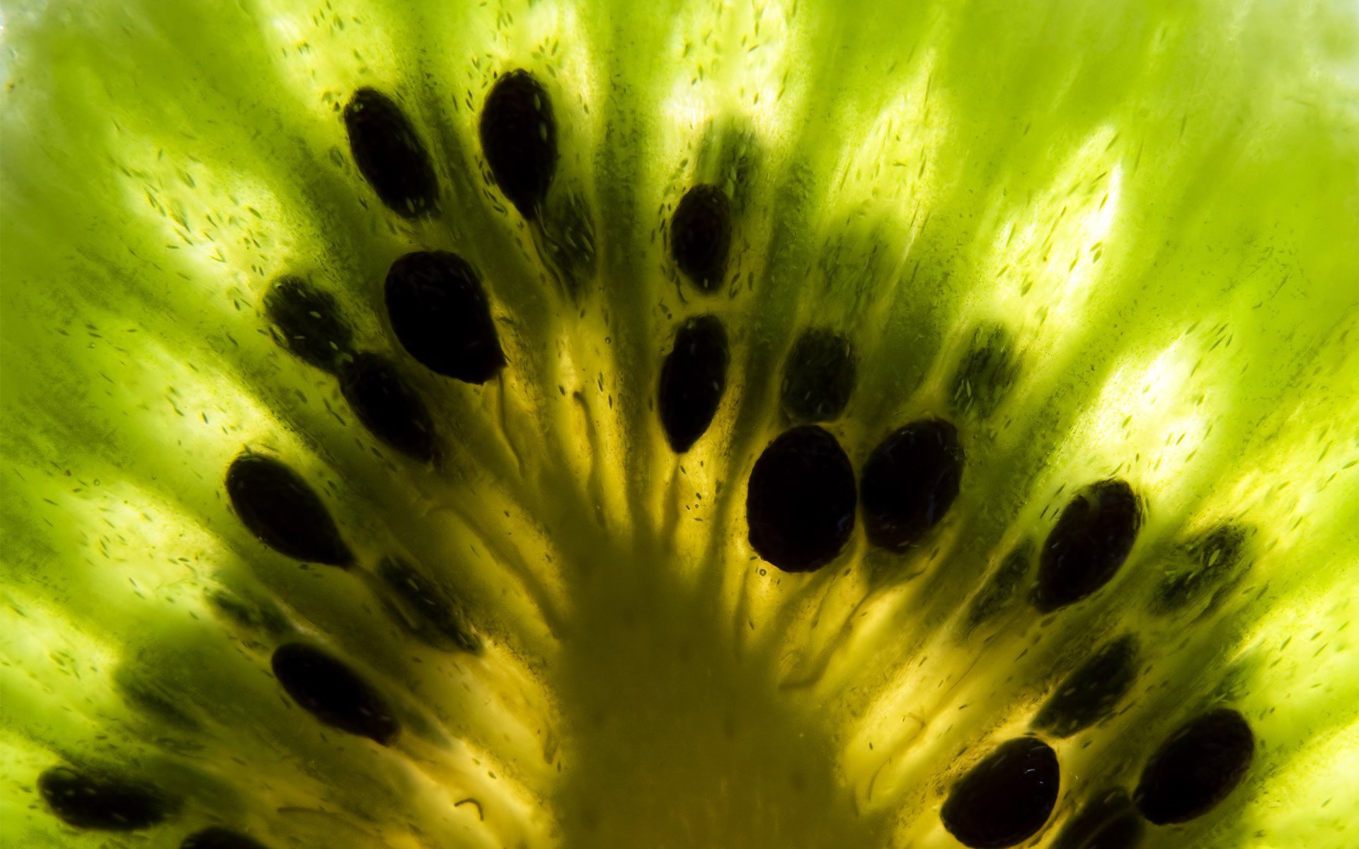 fruit kiwi green structure light macro