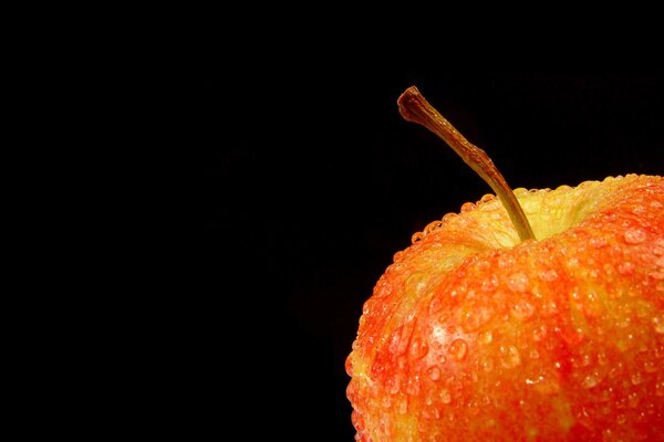 Manzana del paraíso sobre fondo negro