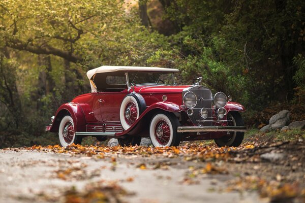 Vintage car standing in nature