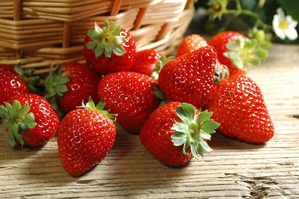 Delicious strawberries next to the basket