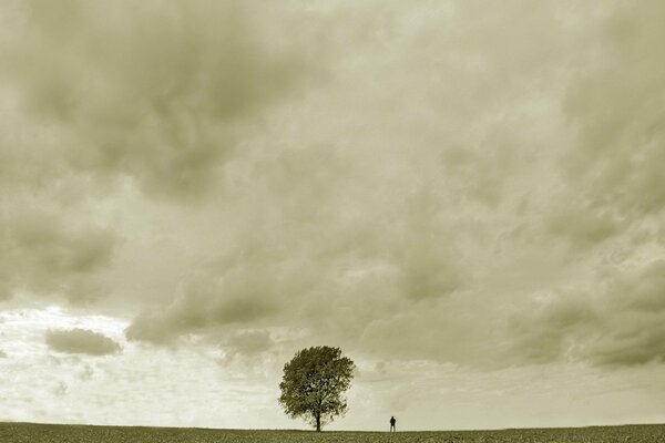 A sad man near a lonely tree