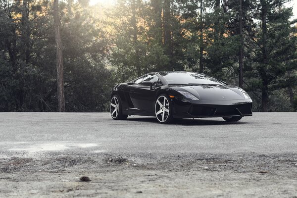 Voiture noire de marque Lamborghini sur fond de conifères au soleil