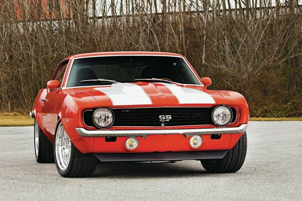 Chevrolet Camaro with white stripes on a background of dried bushes