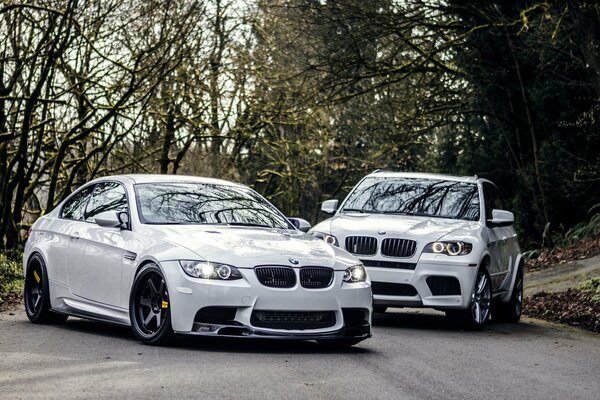 Dos coches BMW E92 y M5 blancos chocan