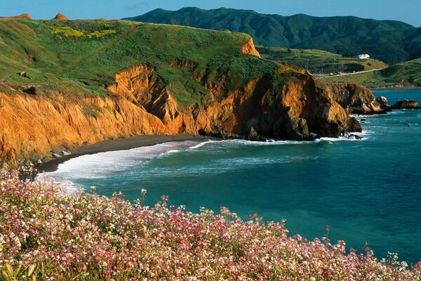 Vue sur le surf depuis le champ, avec des fleurs de sarrasin