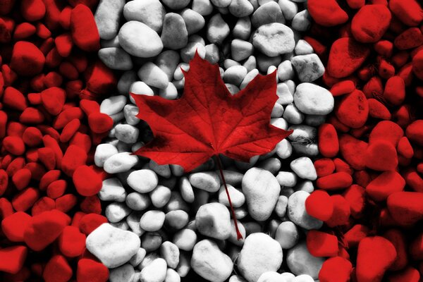 Bandera de Canadá hecha de piedras y hoja de arce