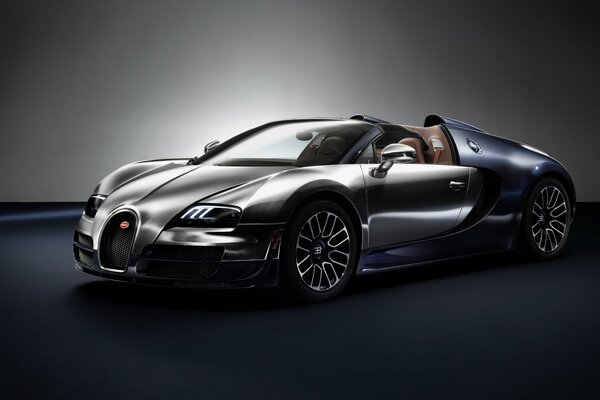 Coche Bugatti veyron 2014