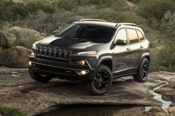 Cherokee SUV in nature