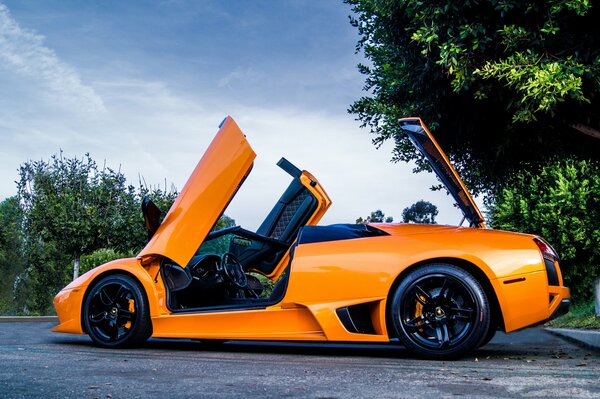 Lamborghini murcielago orange vif