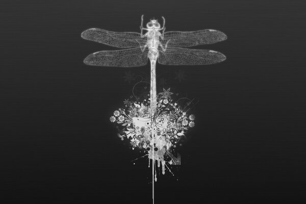 The eternal vertalet . image of a dragonfly