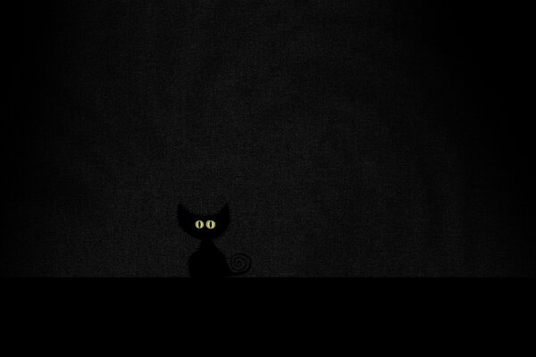 Les yeux du chat brillent dans le noir