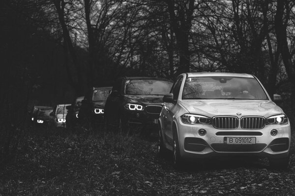 BMW cars in a column in the forest