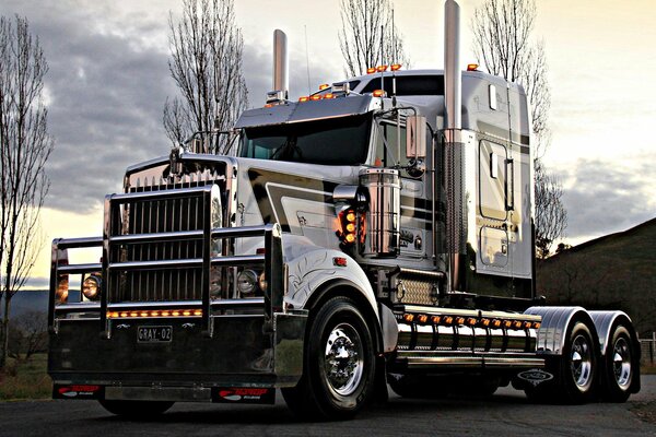 A chrome-colored truck in the dim light of nature