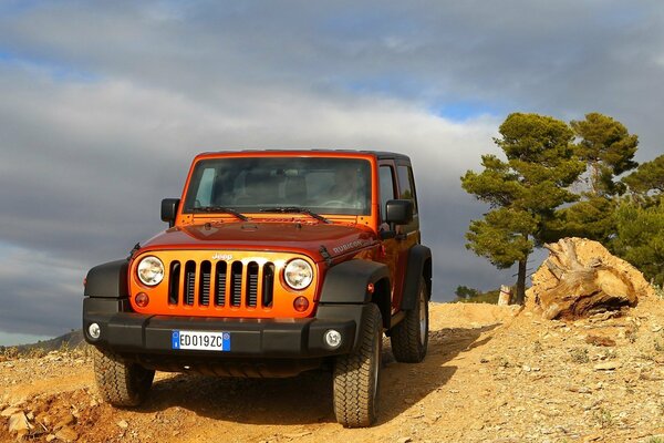 An orange jeep standing on a chip against a background of pine and a huge stone