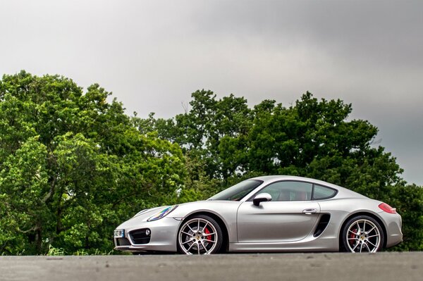 Silver sports car on a background of trees