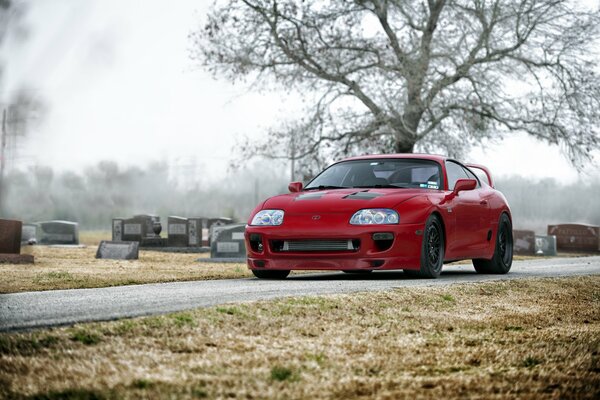 Red Toyota on the background of the cemetery gray Chevrolet in the parking lot