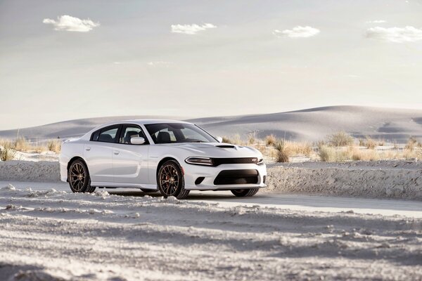 A white car in a sandy desert