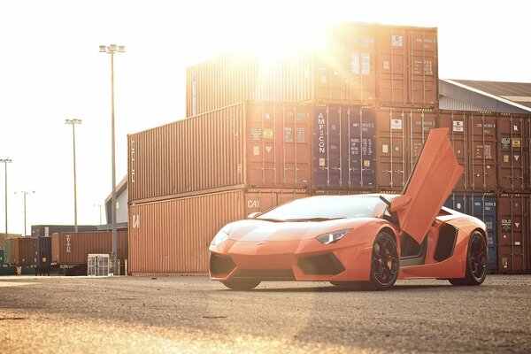 Lamborghini aventador front view on the background of containers