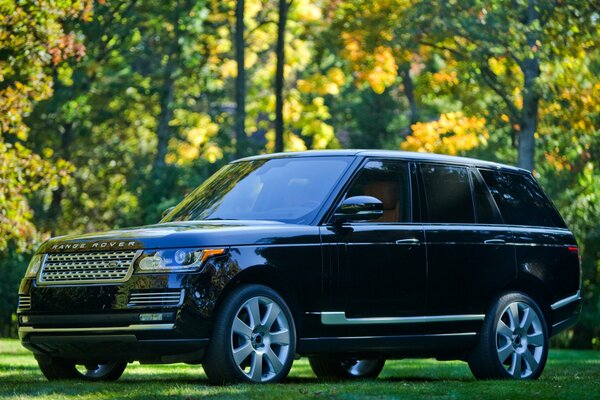 Gran coche negro en la naturaleza