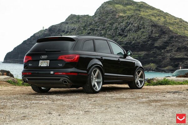 Against the background of a wild landscape - a black Audi SUV