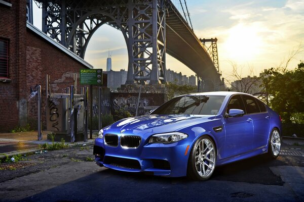 Blue BMW under the bridge green