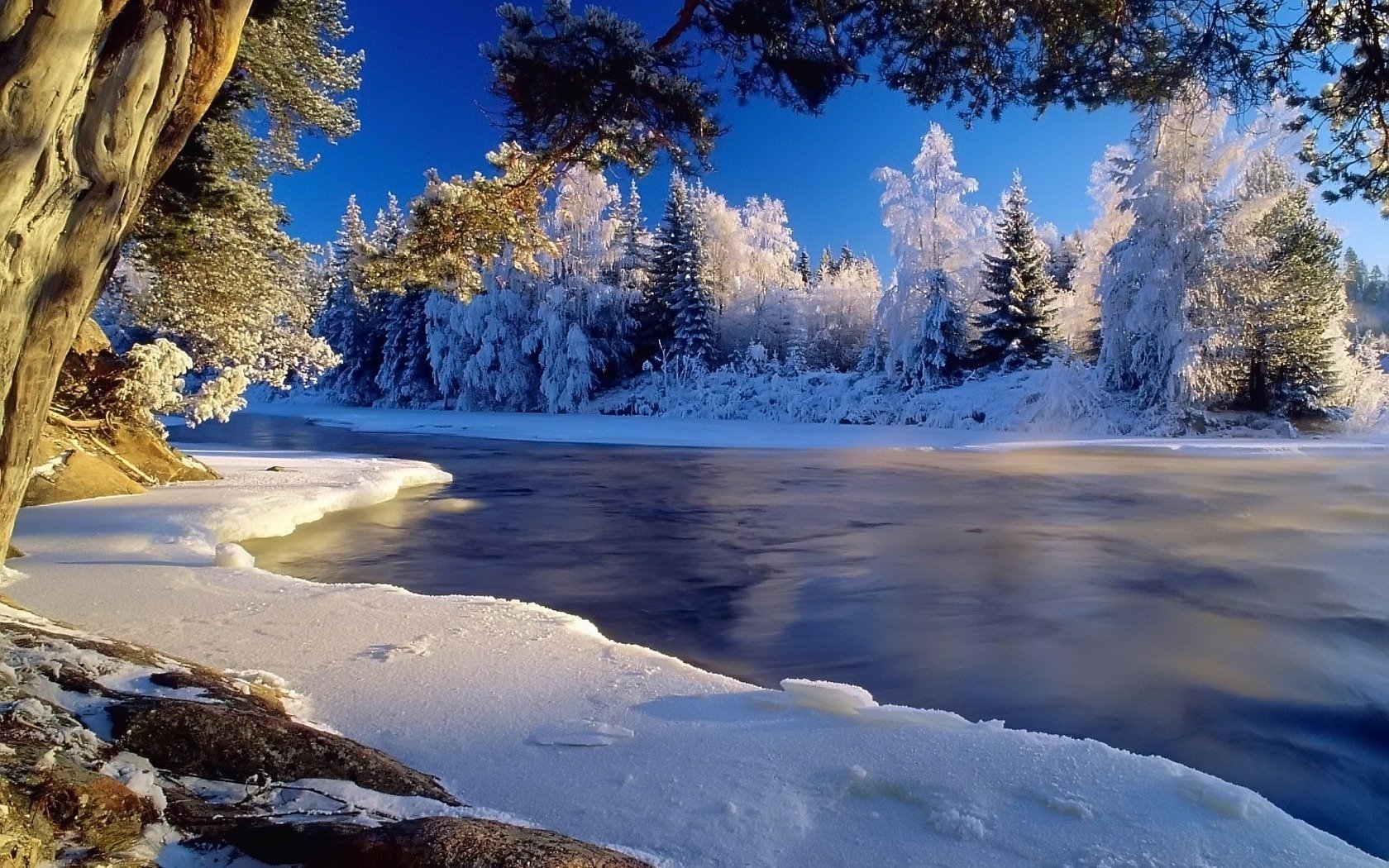 hiver glace rivière forêt arbres ciel