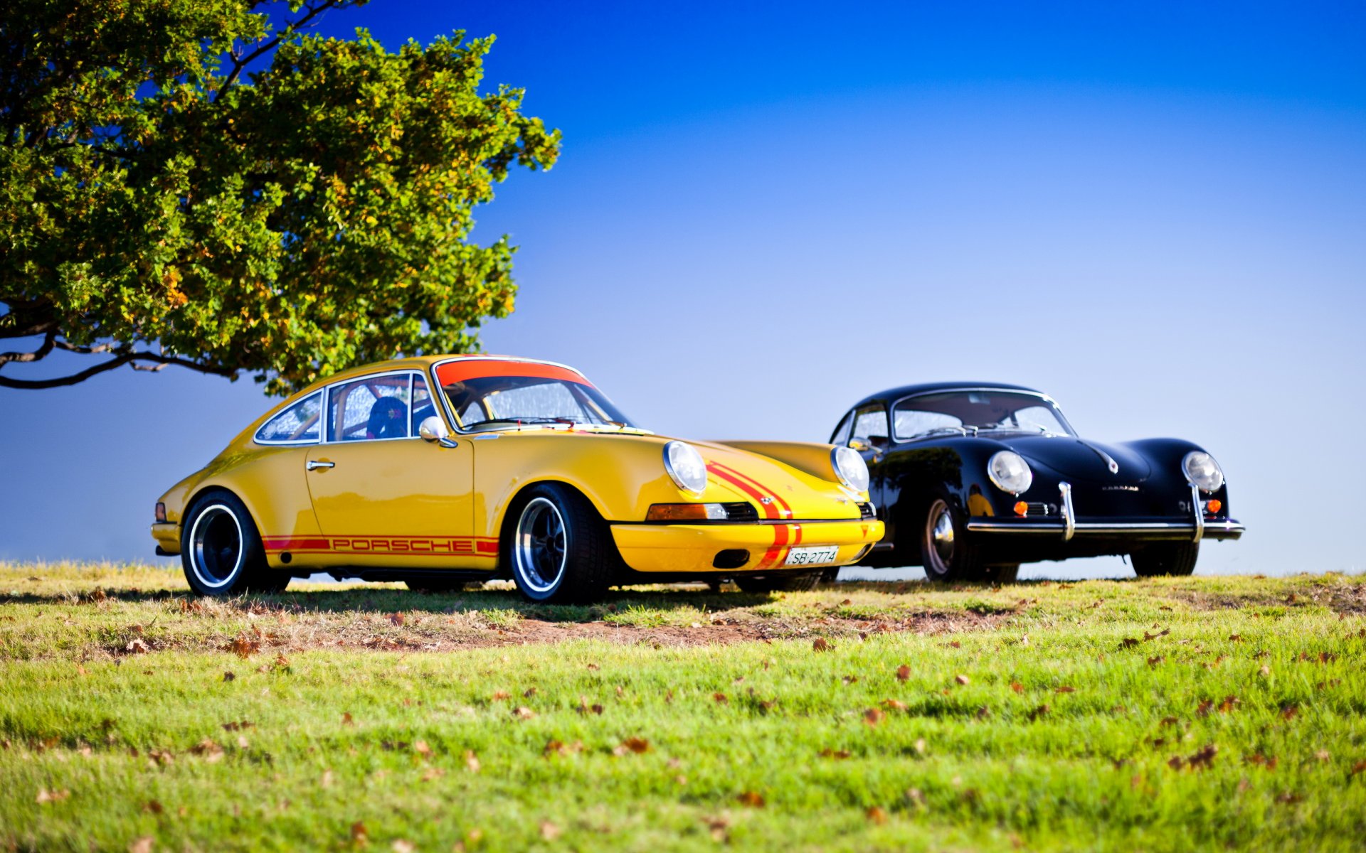 porsche 911 carrera car hq wallpaper
