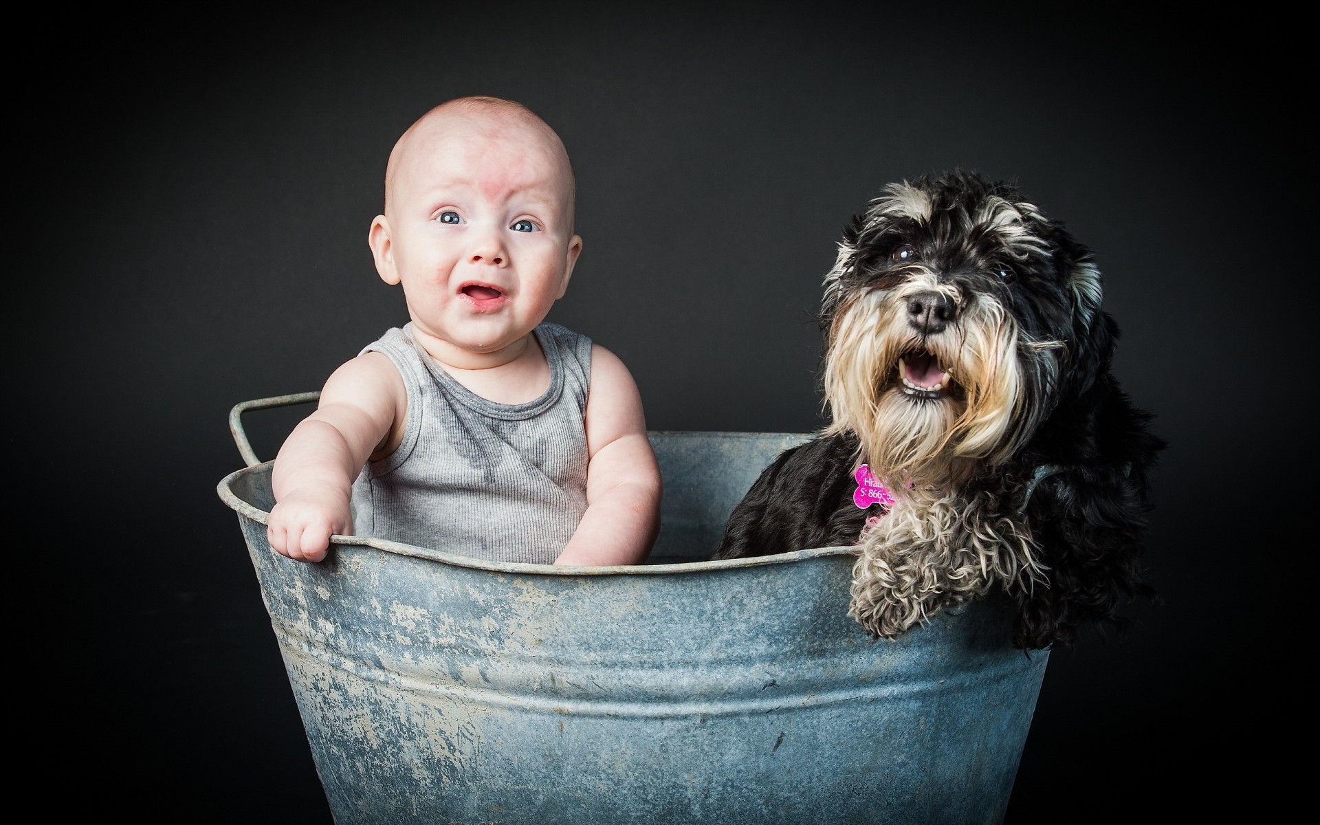 perro niño niño
