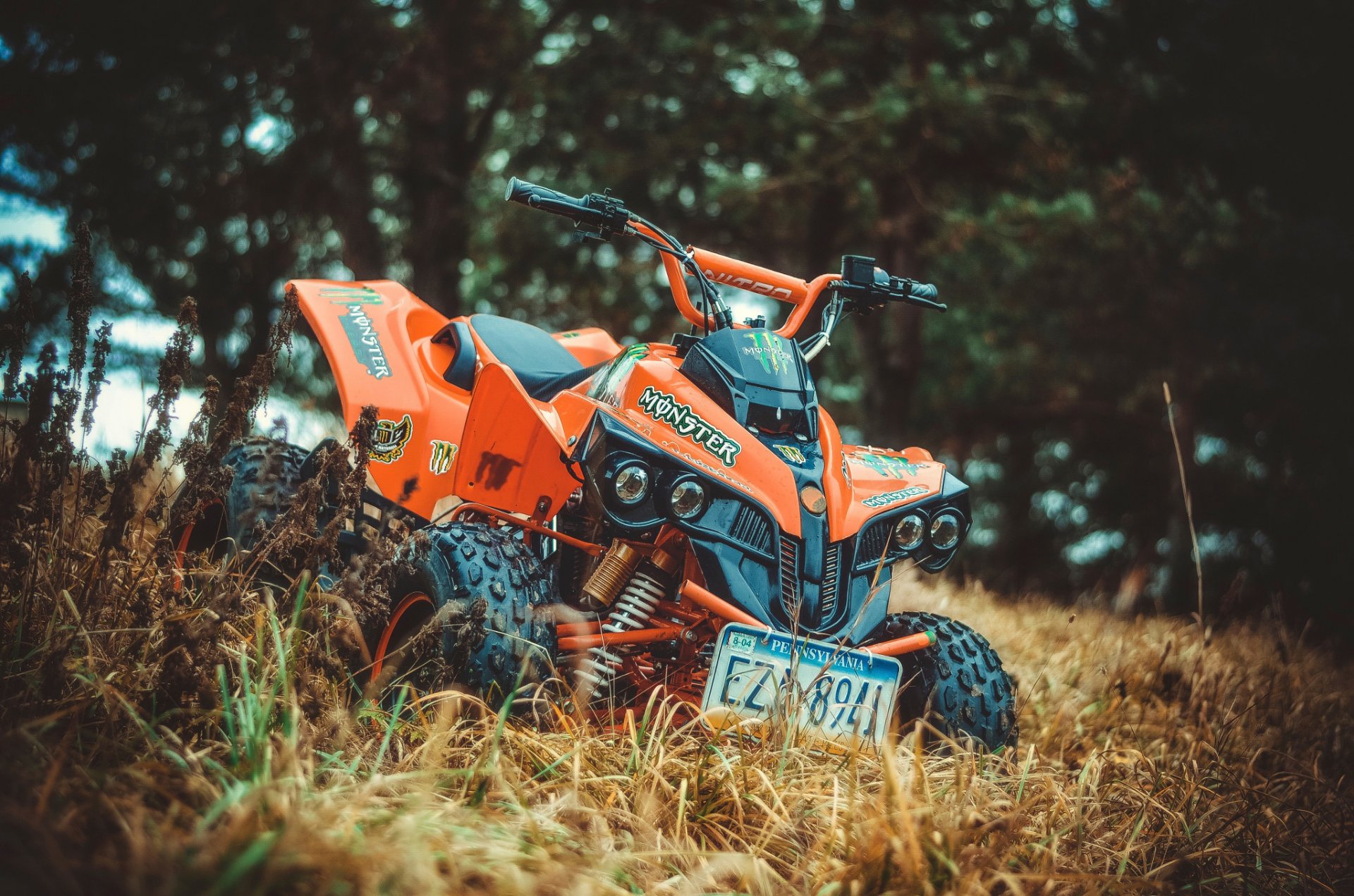 atv widok trawa
