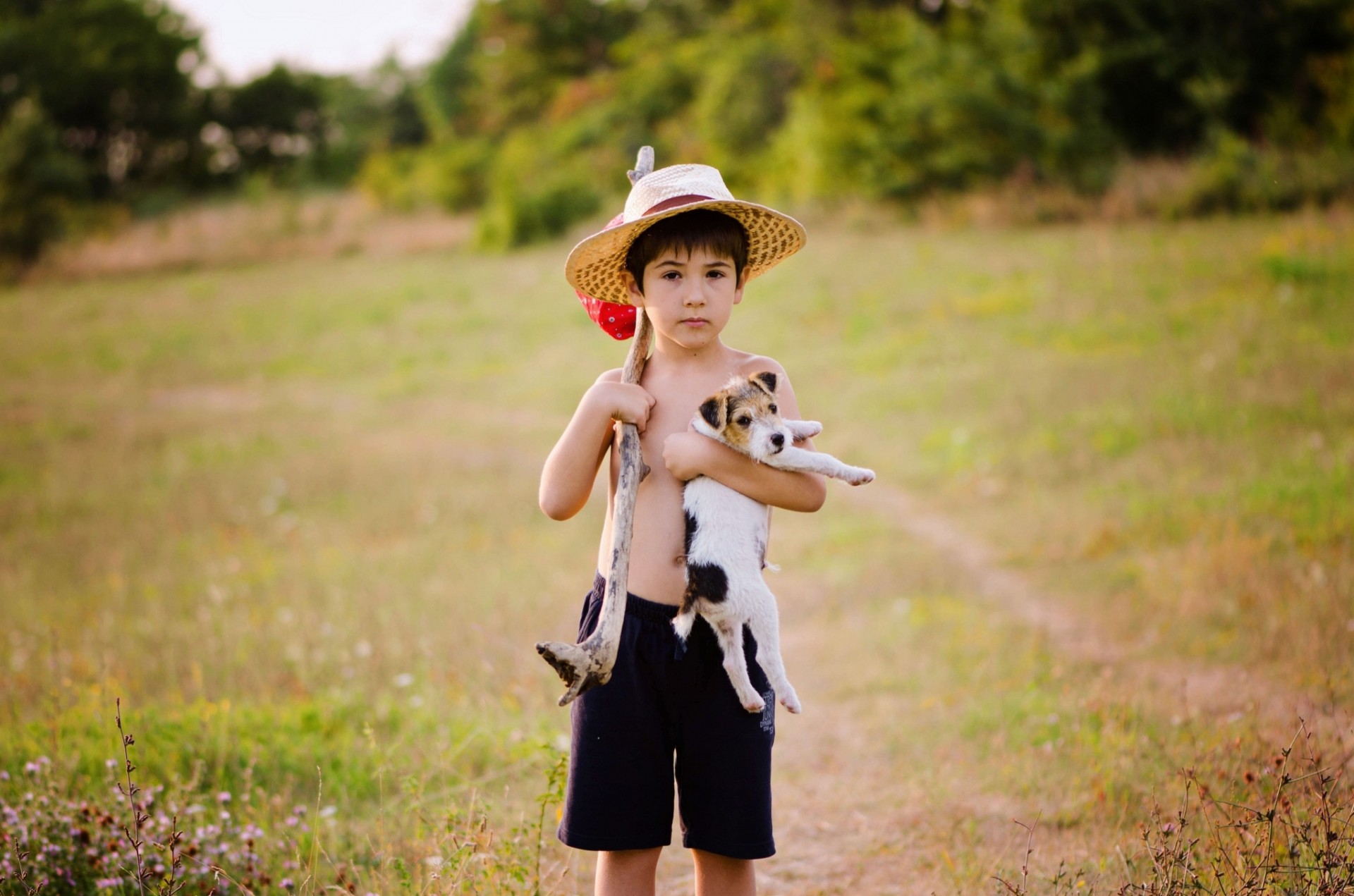 perro niño cachorro