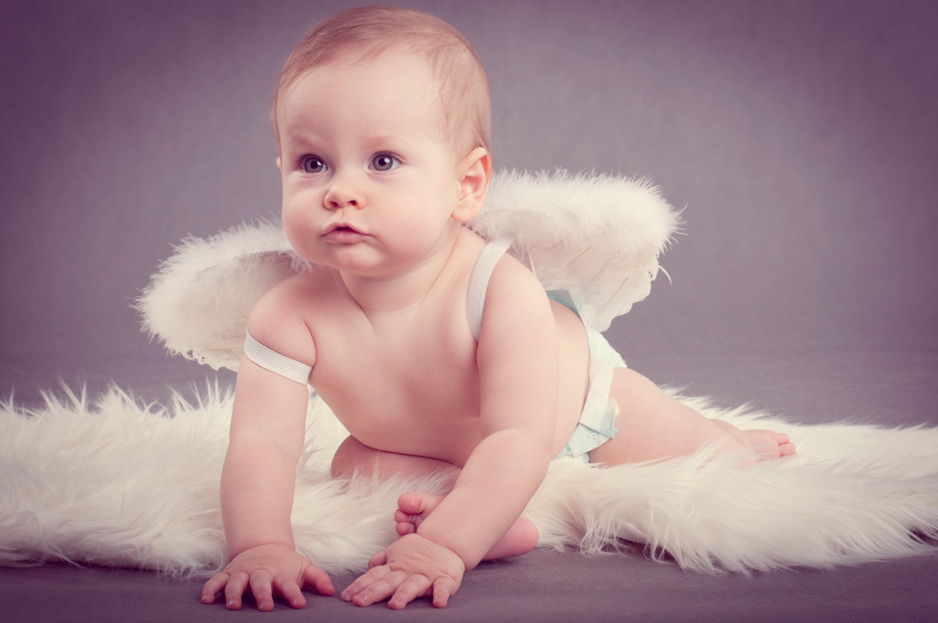 bambino ali