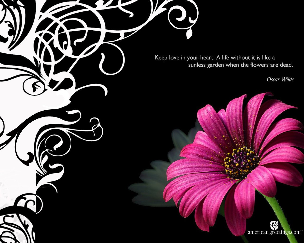 flor negro blanco