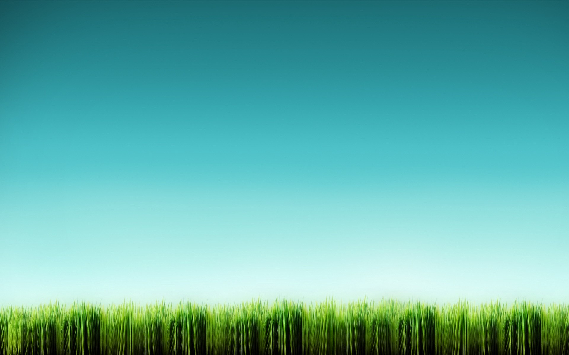 gras blau minimalismus